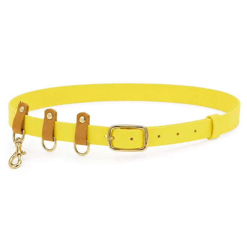 Ceinture personnalisée de balade modulable - Biothane, Hexa & TPU