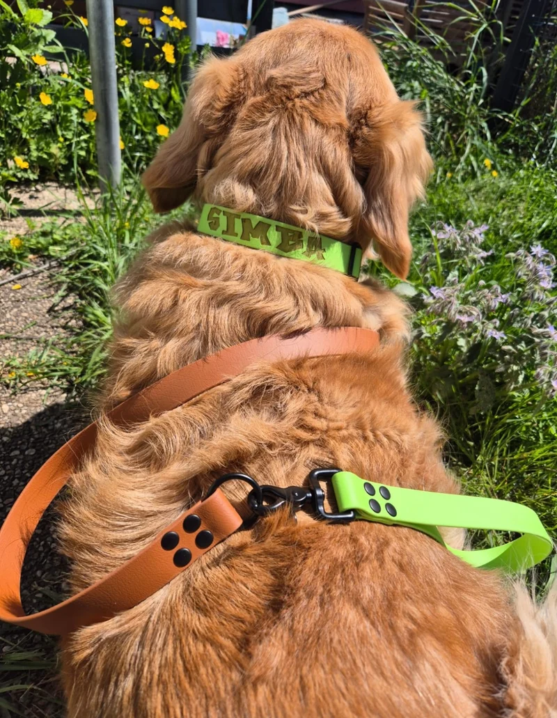 Poignée personnalisée pour chien en biothane 25 mm - Gravure laser | Fabriquée en France