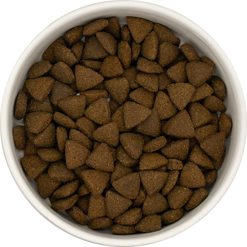 Croquettes premium dinde et porc sans céréales — Chien adulte