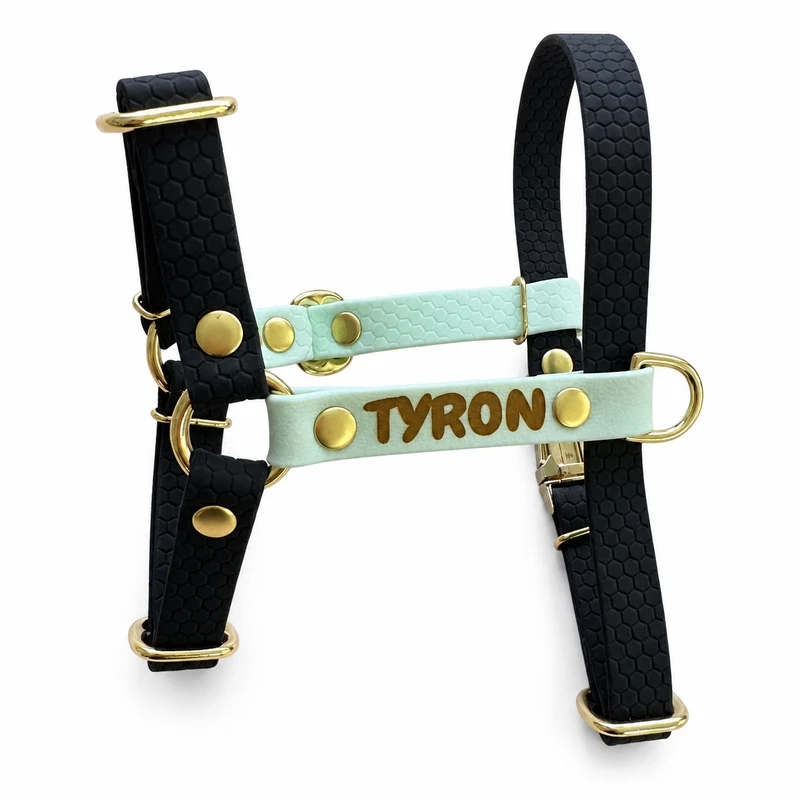 Harnais en H personnalisé chien & chat – Biothane & Hexa - 16 & 25 mm