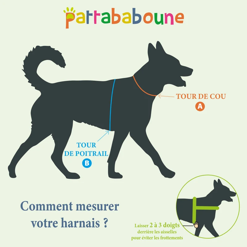 Harnais en H personnalisé chien & chat – Biothane & Hexa - 16 & 25 mm