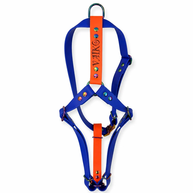 Harnais en H personnalisé chien & chat – Biothane & Hexa - 16 & 25 mm