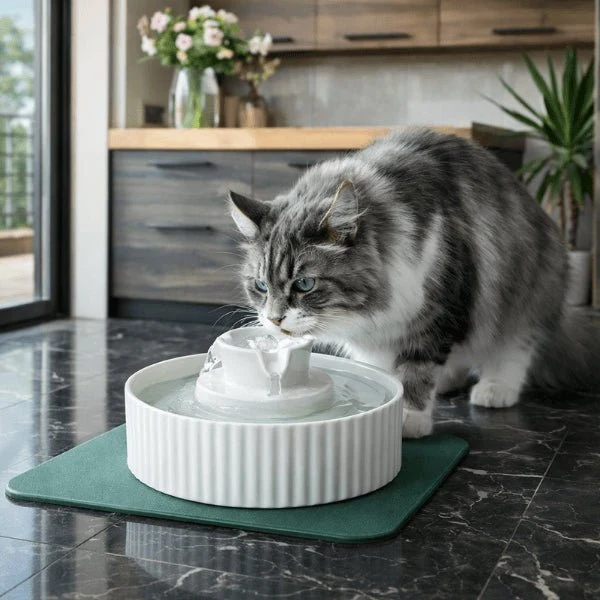 Fontaine à eau chat en céramique à cascade - Organic™