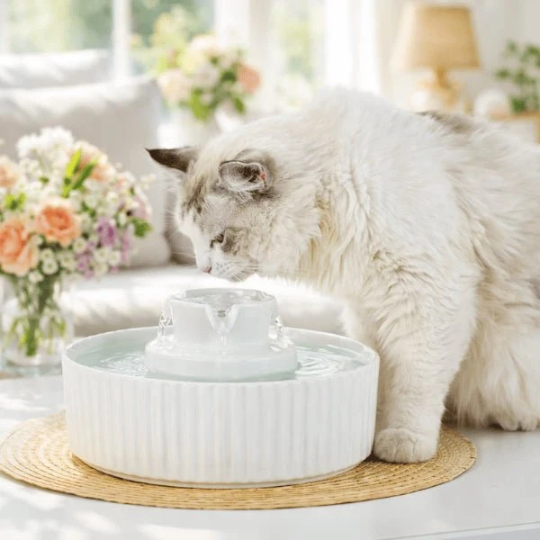 Fontaine à eau chat en céramique à cascade - Organic™