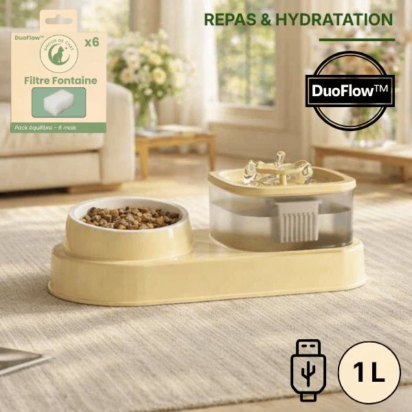 Fontaine à eau chat et gamelle croquettes - DuoFlow™
