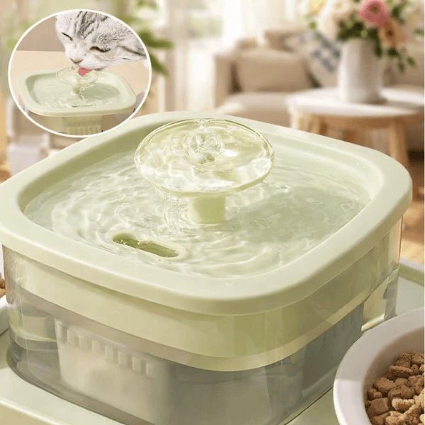 Fontaine à eau chat et gamelle croquettes - DuoFlow™