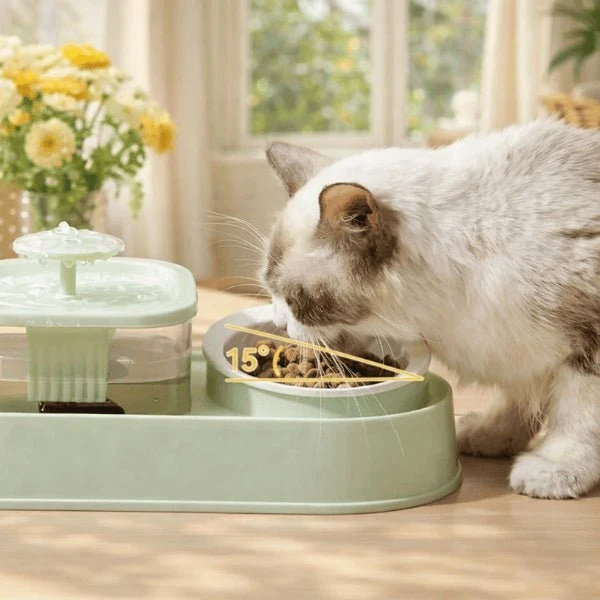 Fontaine à eau chat et gamelle croquettes - DuoFlow™