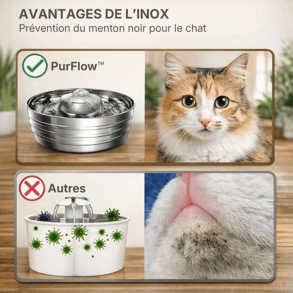 Fontaine à eau chat inox à buse - PurFlow™ : hygiène continue