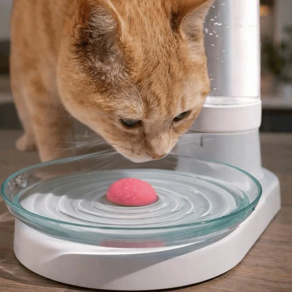 Distributeur d’eau pour chat à filtre permanent - OGlass™