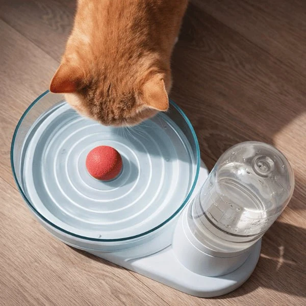 Distributeur d’eau pour chat à filtre permanent - OGlass™