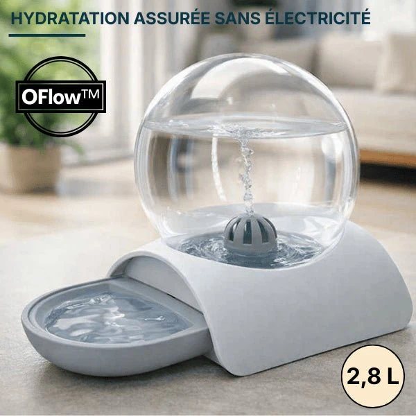 Distributeur d'eau pour chat sans électricité - OFlow™