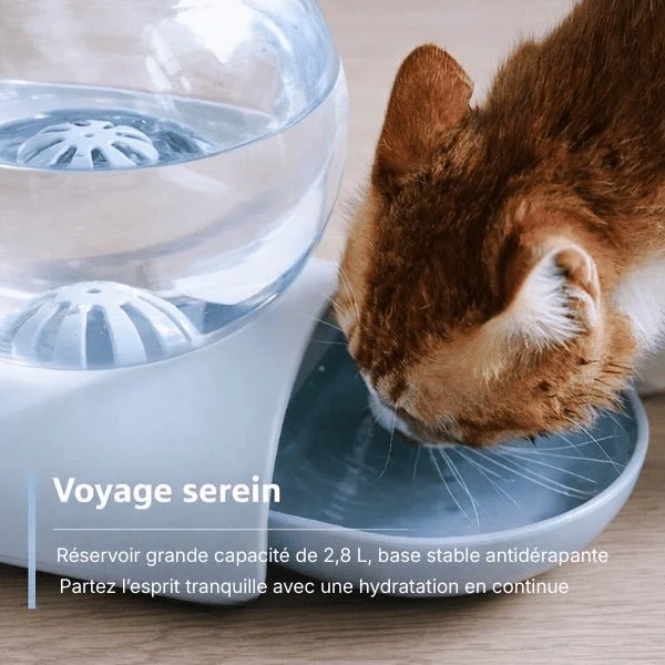 Distributeur d'eau pour chat sans électricité - OFlow™