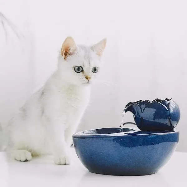 Fontaine design en céramique pour chat