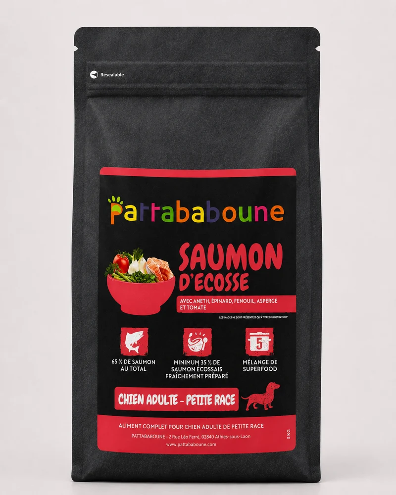 Croquettes premium saumon d'Écosse sans céréales - Chien adulte petite race