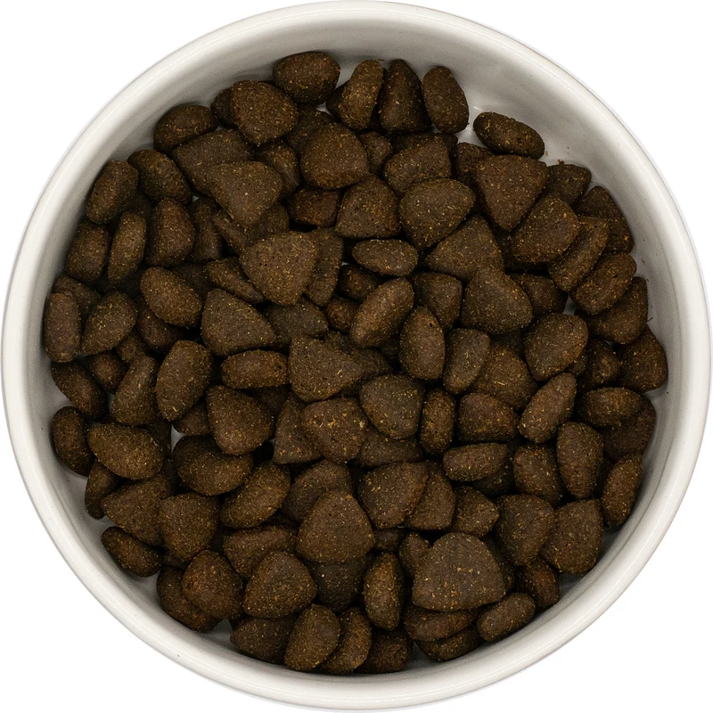 Croquettes premium boeuf Angus sans céréales - Chien adulte petite race