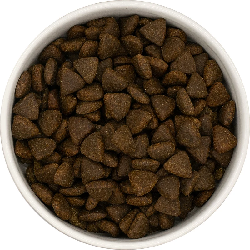 Croquettes premium saumon d'Écosse sans céréales - Chien adulte