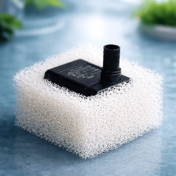 Filtre pompe fontaine à eau chat - extérieur carré