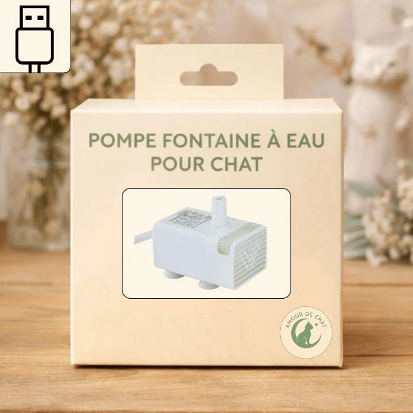 Pompe pour fontaine eau chat - filtrante