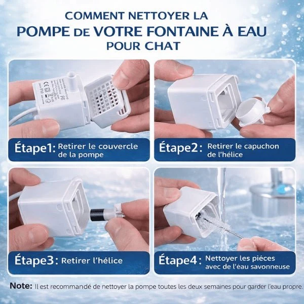 Pompe pour fontaine eau chat - filtrante