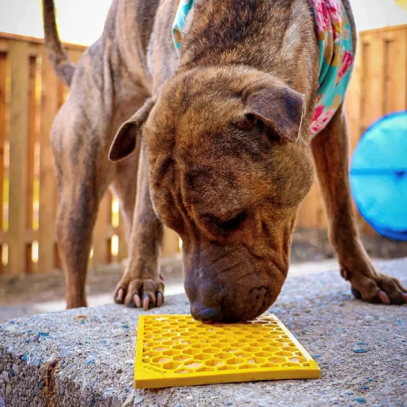 Tapis de léchage pour chien et chat - Nid d'abeille - SodaPup