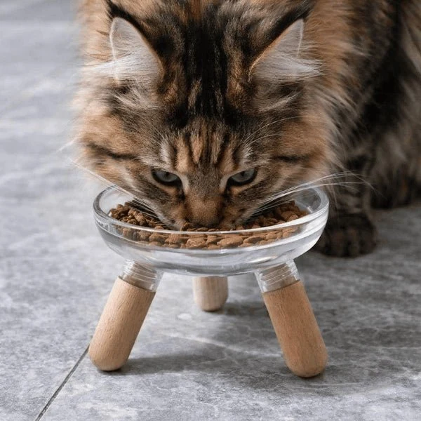 Gamelle pour chat - Surélevée 3 pieds en bois élégante - GlassBowl™