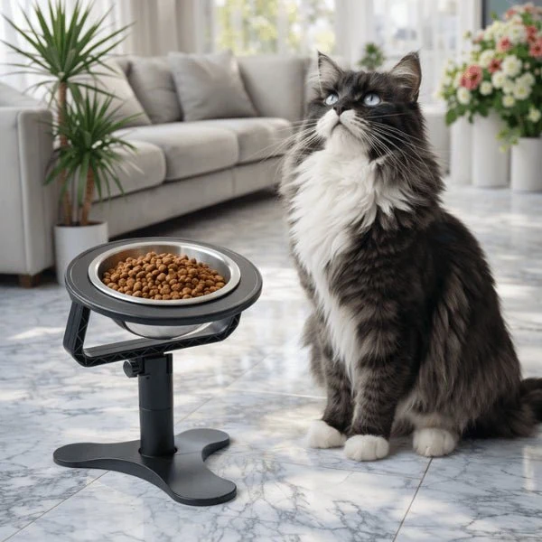 Gamelle surélevée chat - Réglable hauteur et inclinaison - AjustBowl™