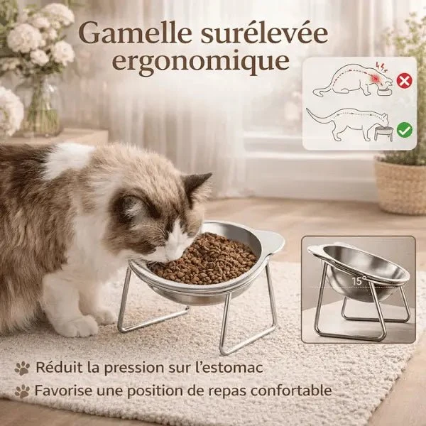 Gamelles pour chat - Inox surélevée tête de chat - Nutrix™