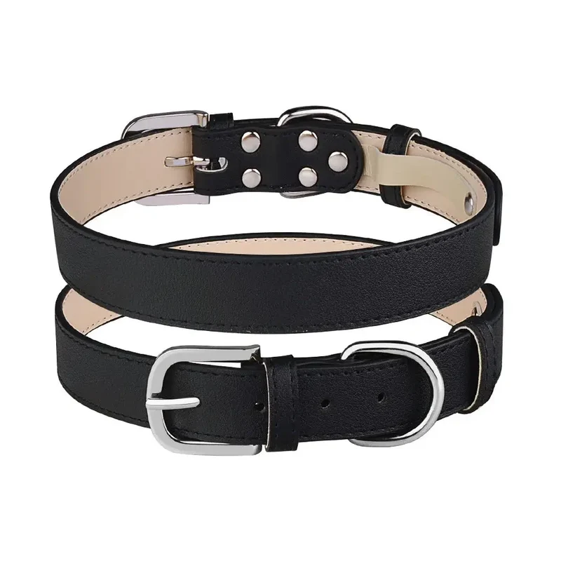 Collier chiot