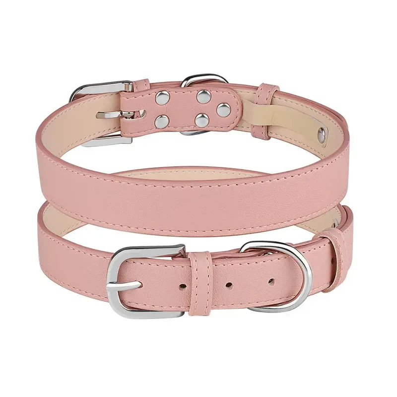 Collier chiot