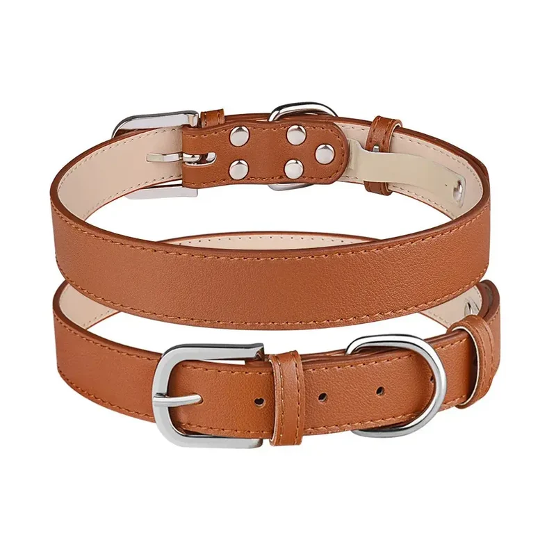 Collier chiot