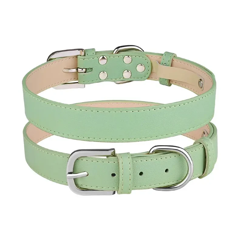 Collier chiot