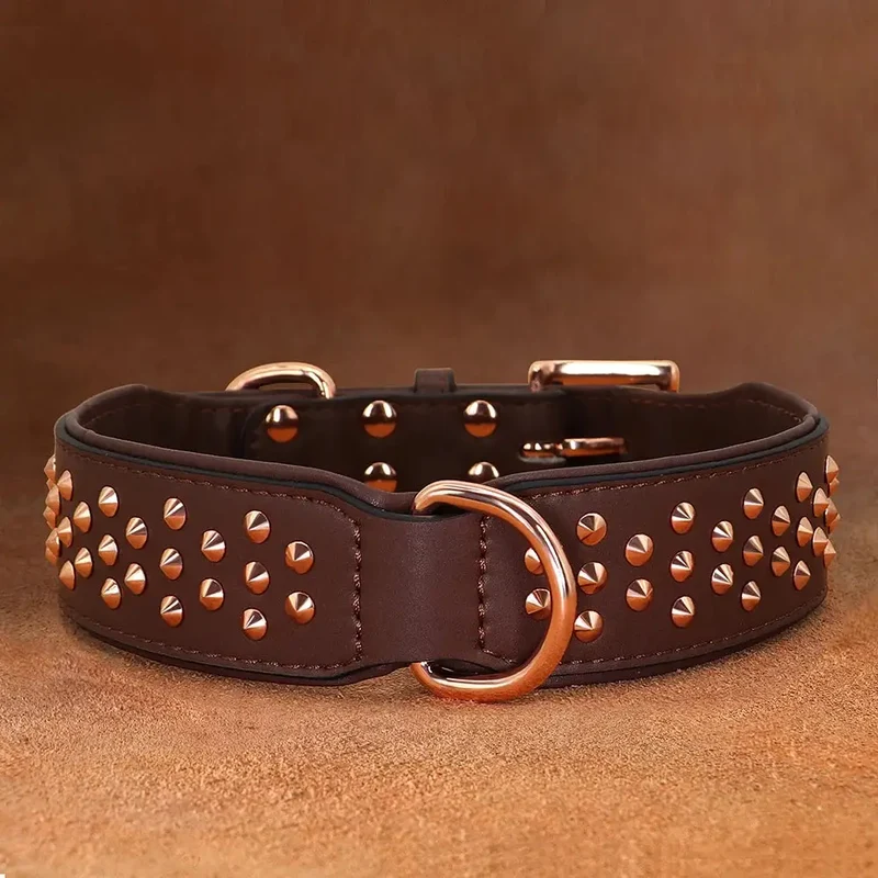 Collier chien tendance