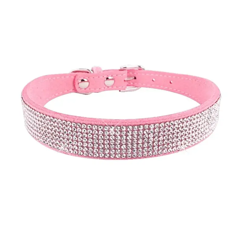 Collier chiot 2 mois