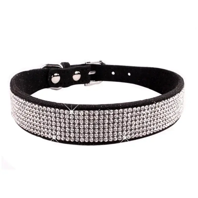 Collier chiot 2 mois