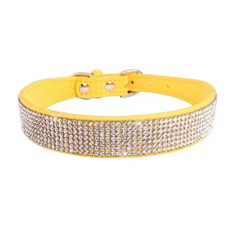 Collier chiot 2 mois