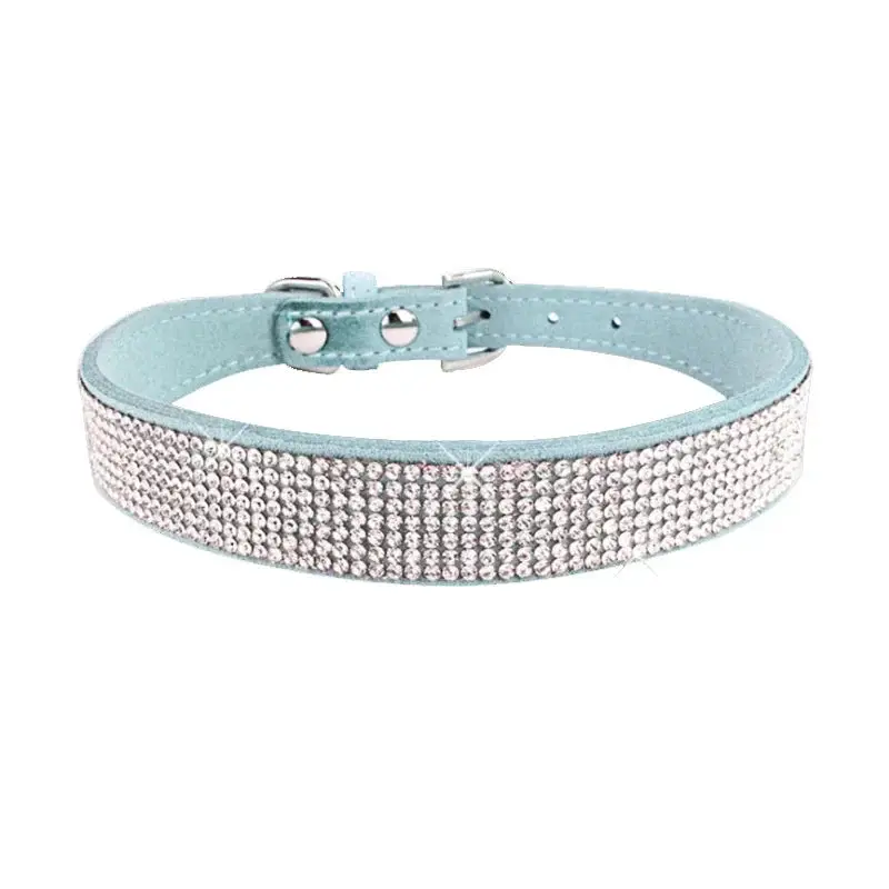 Collier chiot 2 mois