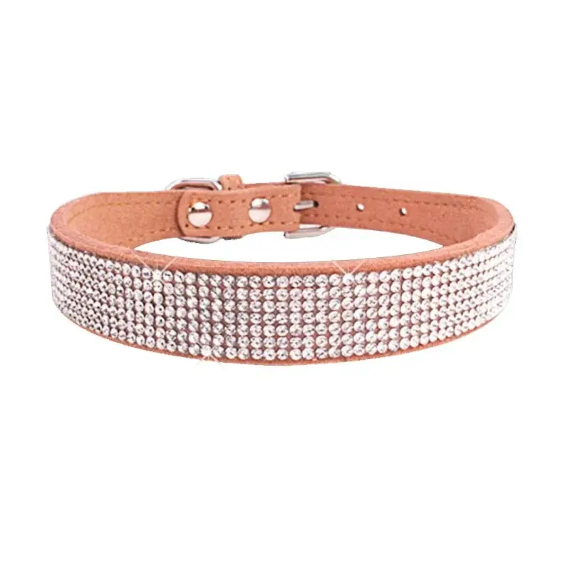 Collier chiot 2 mois