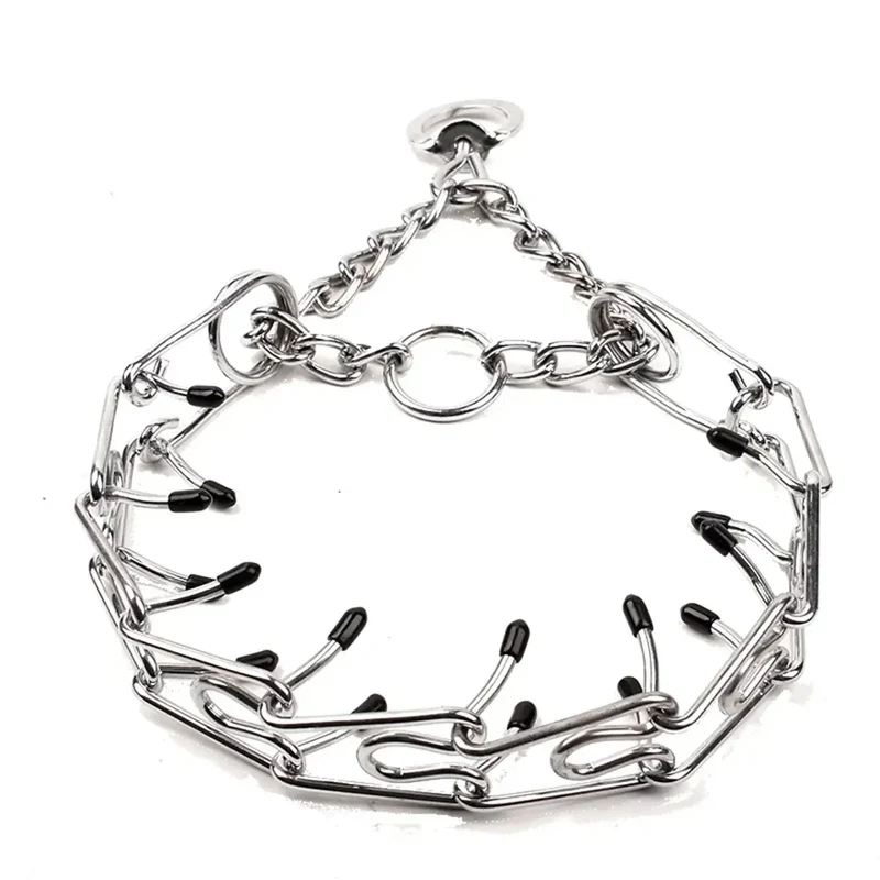 Collier chien torquatus