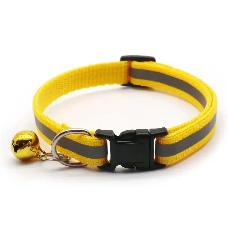 Collier chiot 4 mois