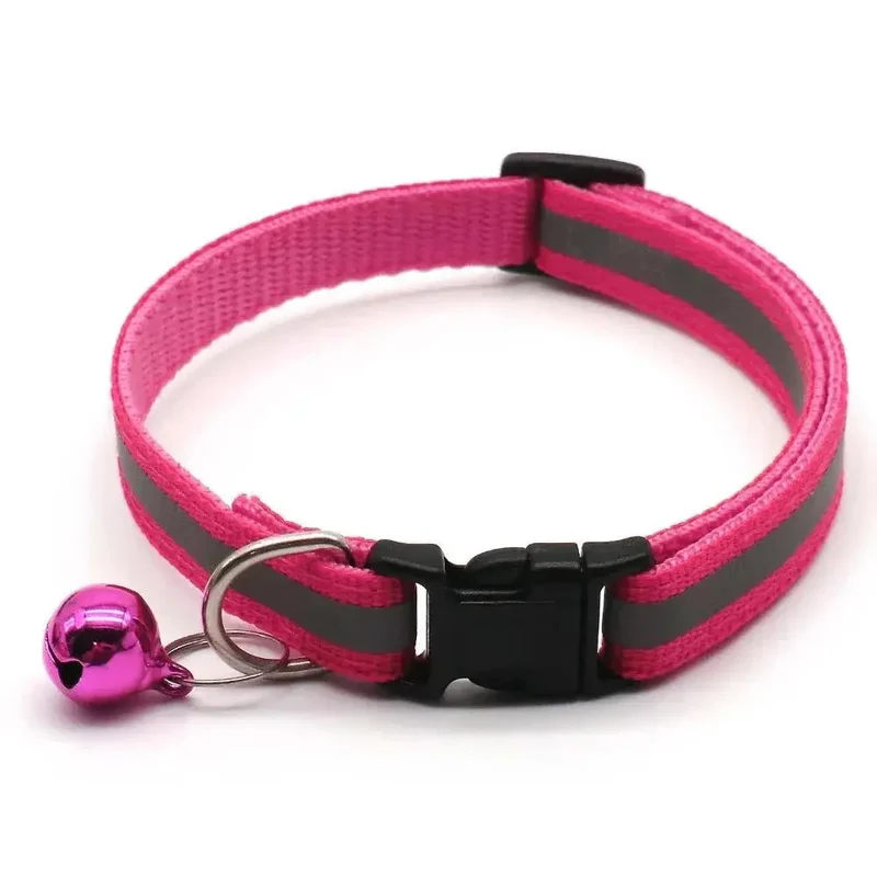 Collier chiot 4 mois