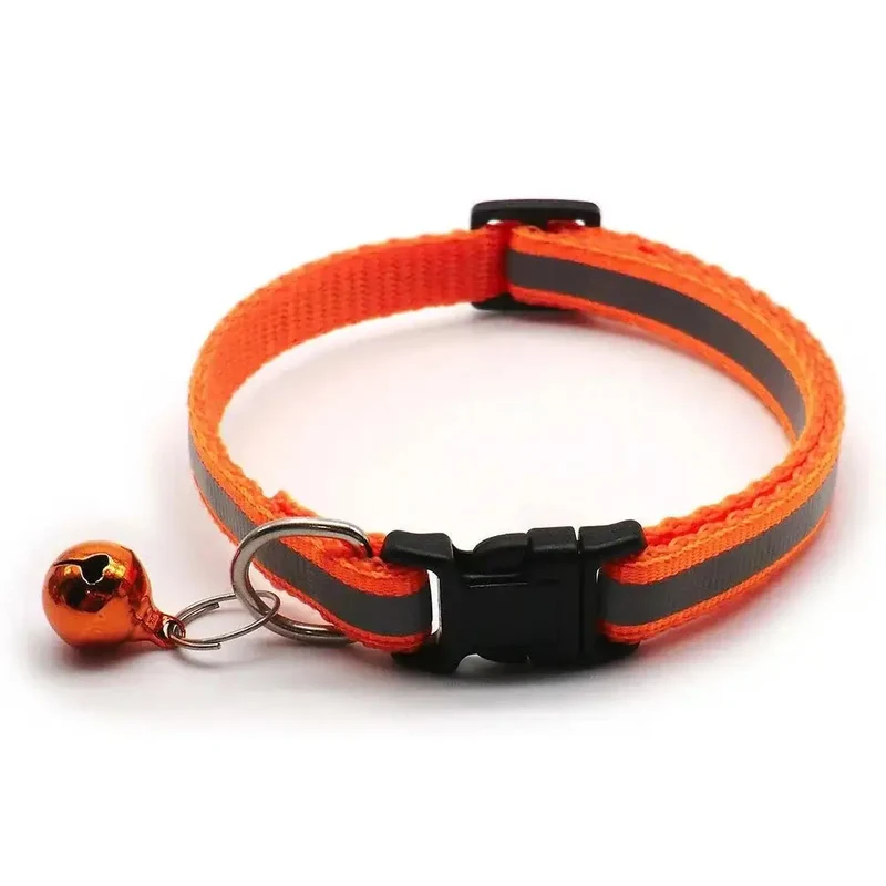 Collier chiot 4 mois