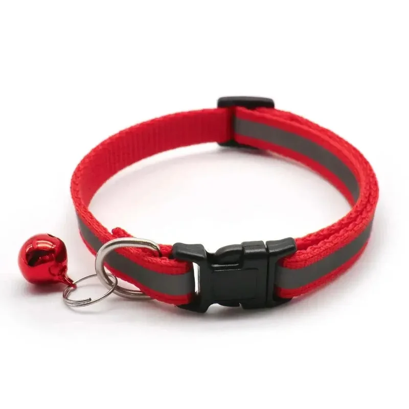 Collier chiot 4 mois