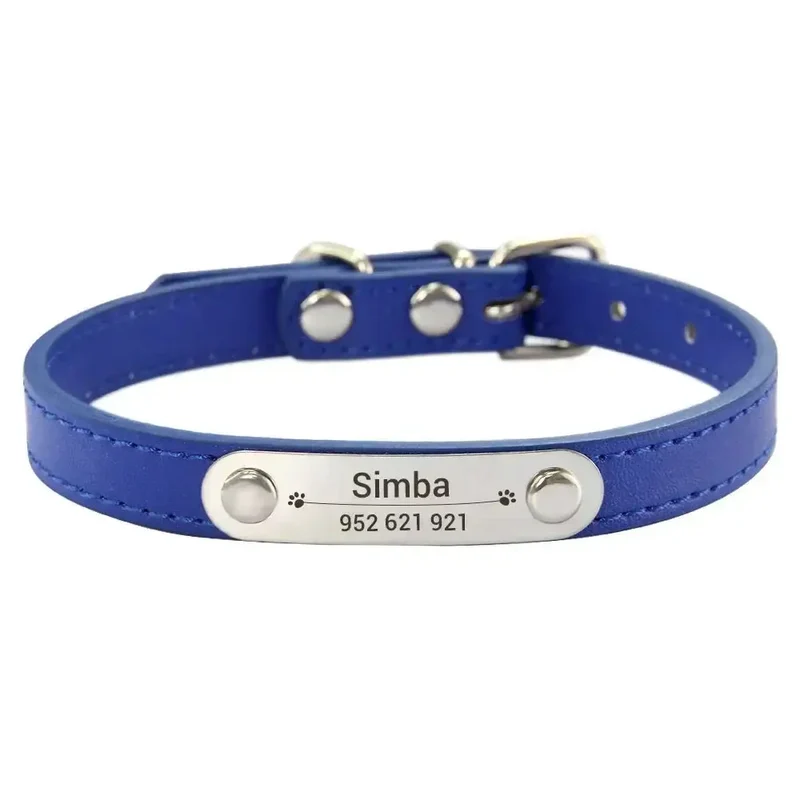 Collier chiot 3 mois
