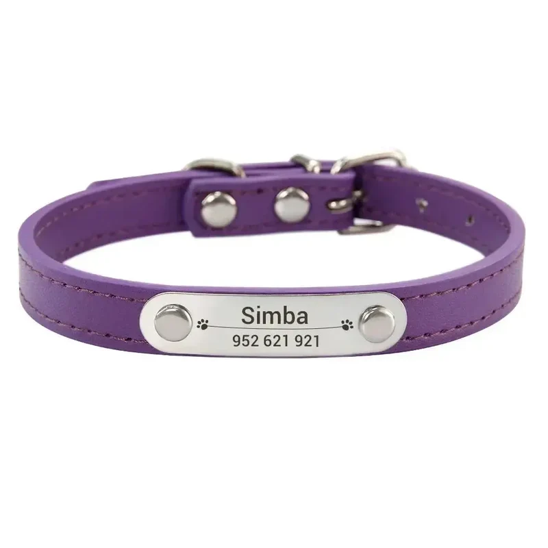 Collier chiot 3 mois