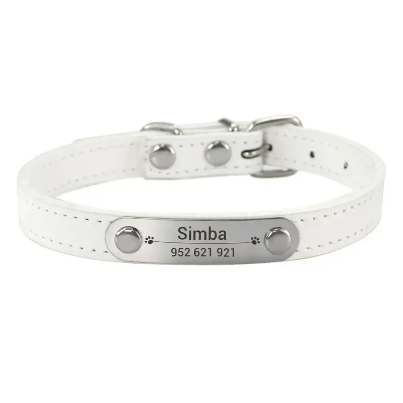 Collier chiot 3 mois