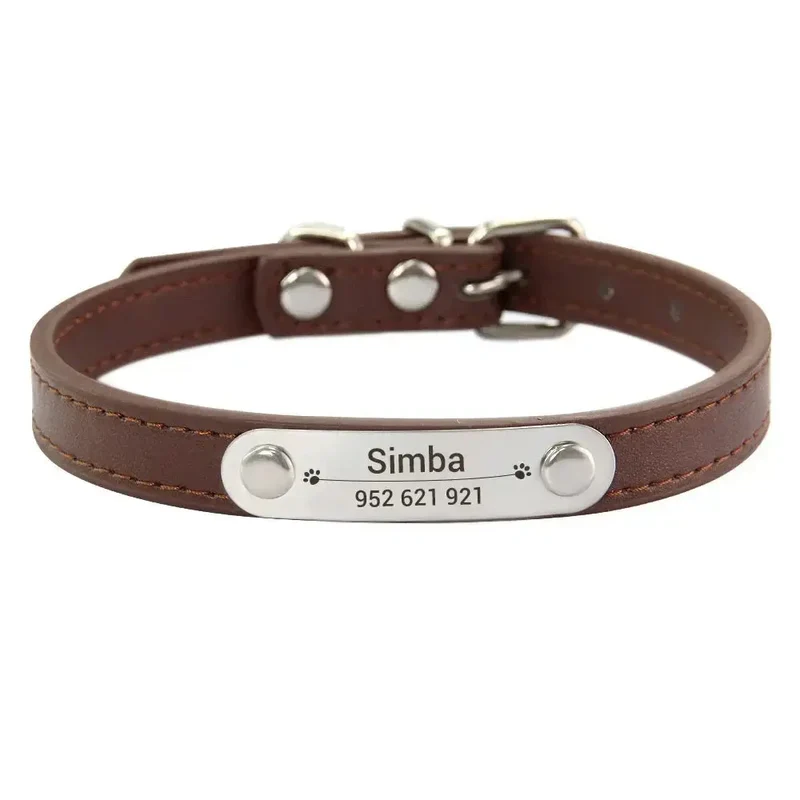 Collier chiot 3 mois