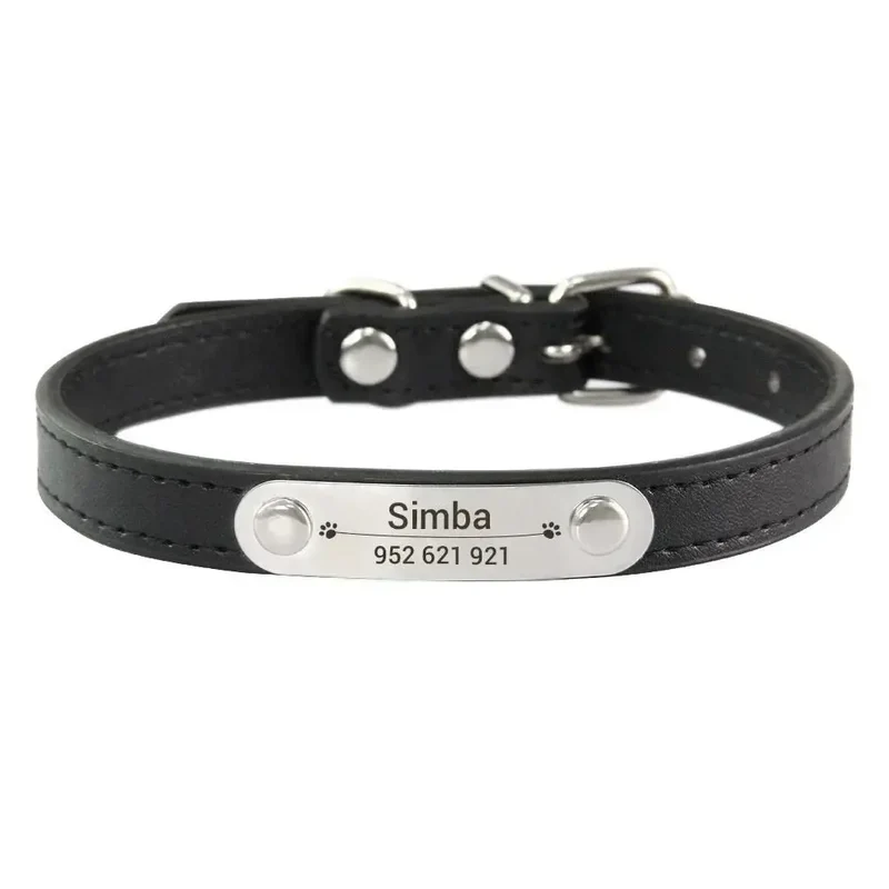 Collier chiot 3 mois