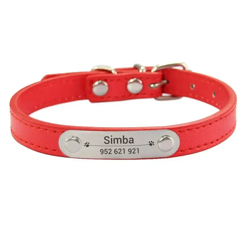Collier chiot 3 mois