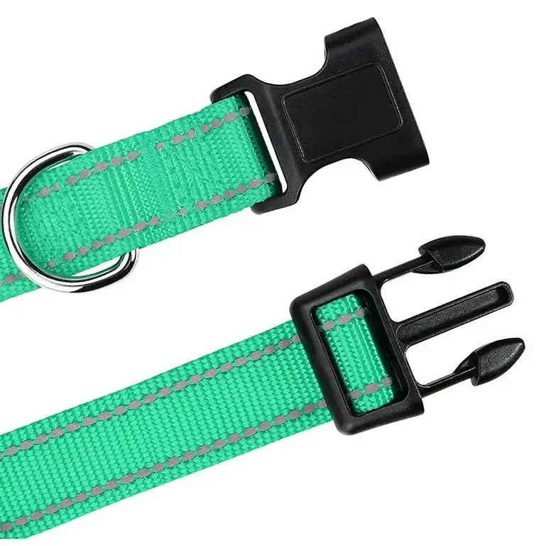 Collier chiot femelle