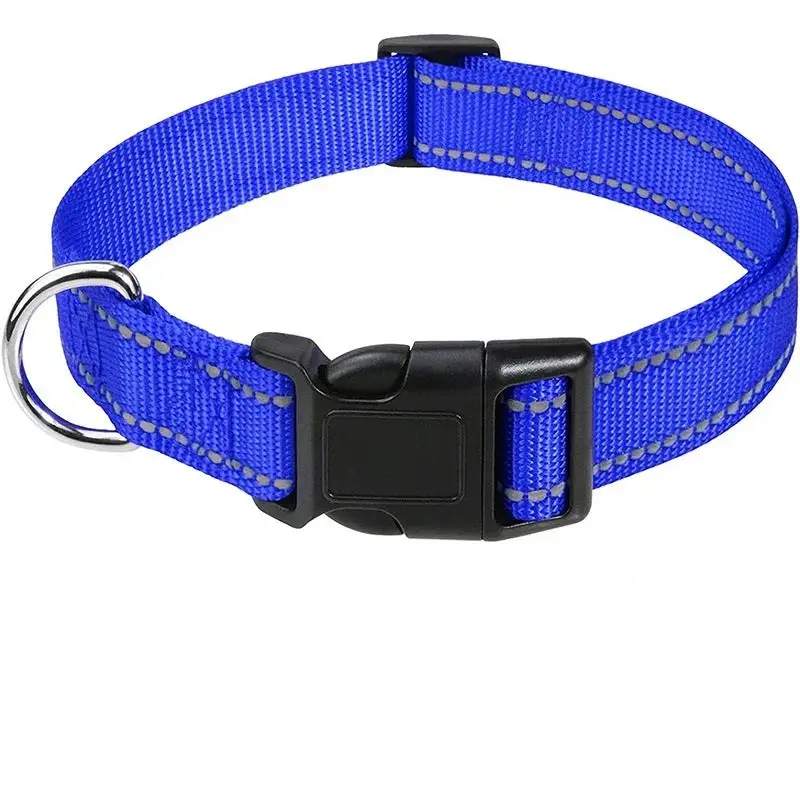 Collier chiot femelle